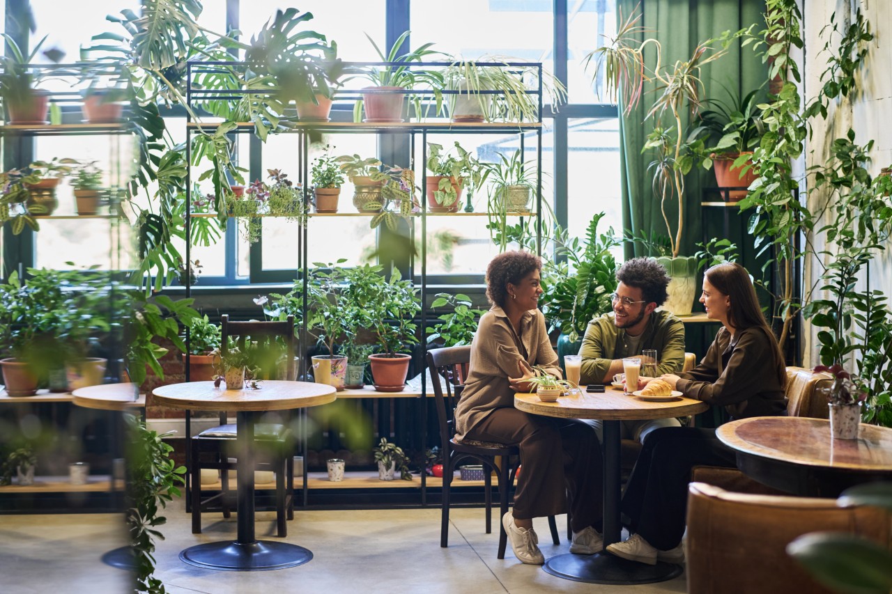 Local Dining and Cafes Nearby